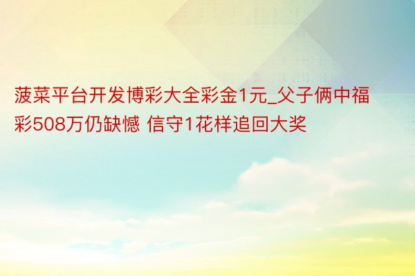 菠菜平台开发博彩大全彩金1元_父子俩中福彩508万仍缺憾 信守1花样追回大奖