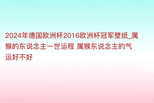 2024年德国欧洲杯2016欧洲杯冠军壁纸_属猴的东说念主一世运程 属猴东说念主的气运好不好